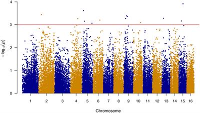 Genome-Wide Association Study Reveals PC4 as the Candidate Gene for Thermal Tolerance in Bay Scallop (Argopecten irradians irradians)